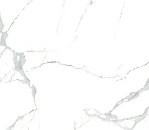 UKURAN 60 X 60 VALENTINO GRESS STATUARIO WHITE 60 X 60<br> 1 valentinogress_statuario_grey_60_x_601